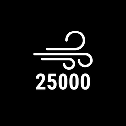 Puff 25000